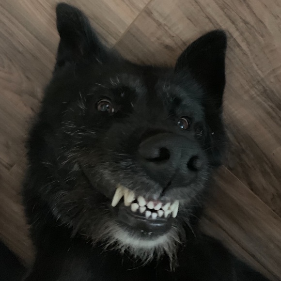 TOP Quality Items Only at Buy It Now Prices💃😎 - Picture 4 of 11